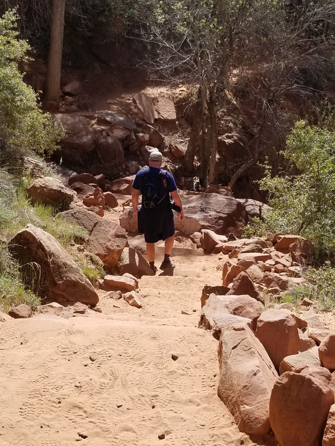 Lower & Upper Emerald & Kayenta Trails 